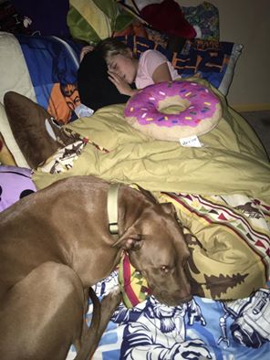 15267629_1162695653799328_52657433828493825_n